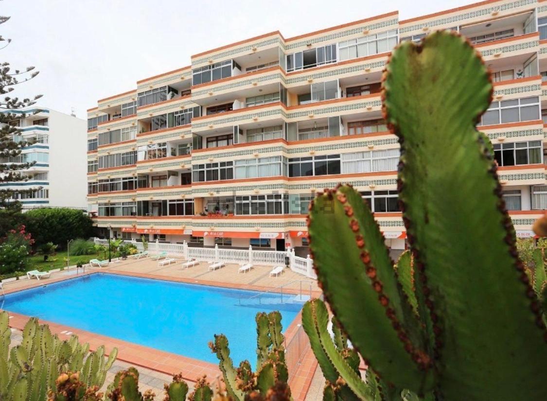Calm, Cosy And Bright Apartment Renovated In Playa Del Ingles- Wifi Free Exteriör bild